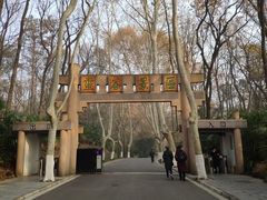 -灵谷景区