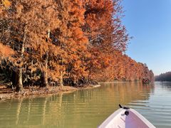 -上海海湾国家森林公园