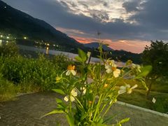 -风云岭森林公园