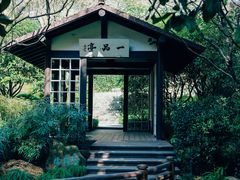 -中国茶叶博物馆(双峰馆区)