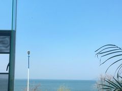 -野菌皇海景野生菌火锅(滨海大道店)