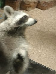 -长沙云顶星河游乐园(步步高·梅溪新天地店)