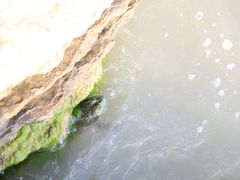 -济宁市太白湖旅游景区