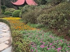 -庐山风景区花径公园