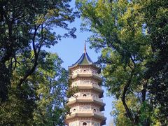 -灵谷景区