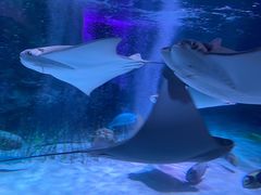 -沈阳海洋探索中心