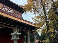 -南岳衡山风景名胜区-南岳大庙