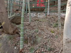 -石塘人家