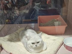 -FAELING PETS美天灵宠物(富力广场店)