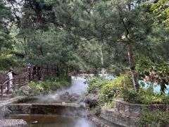 -山叶口景区