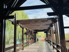 -永定河休闲森林公园