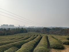 -敬亭山风景名胜区