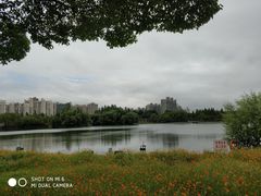 -大宁郁金香公园-停车场