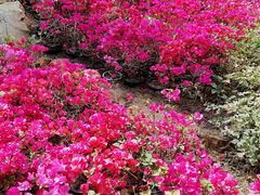 -南通洲际绿博园