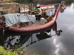 -奥兰多迪士尼动物王国乐园