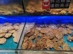-SEA西雅图海鲜自助餐厅(海乐世界店)