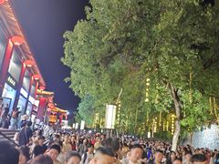 -大慈恩寺(大雁塔)