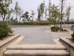 芍药台-曹州牡丹园