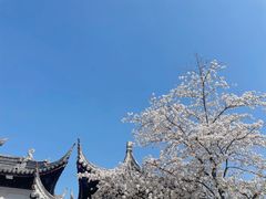 -上方山森林动物世界