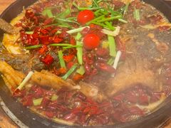 -老板恋上鱼(恒隆广场店)