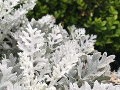 -上海市龙华烈士陵园