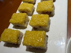 -老阿妈蒙古村·蒙古包·草原文化·歌舞表演(老君堂店)