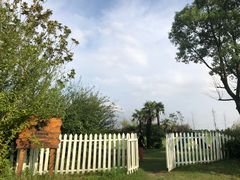 -上海崇明金茂凯悦酒店