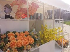 -天津津利华酒店