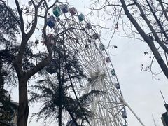 -塔子山公园