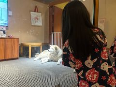 -大江户·温泉洗浴(浑南店)