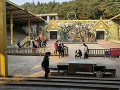 -贵州森林野生动物园