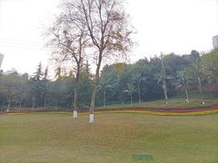 -龙头寺公园