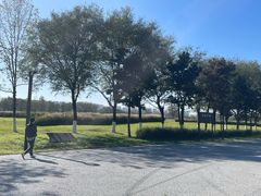 -汉长安城未央宫国家考古遗址公园