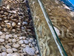 -港畔赶海蒸汽海鲜烧烤自助(仙螺岛店)