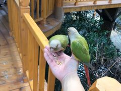 景点-南宫五洲植物乐园