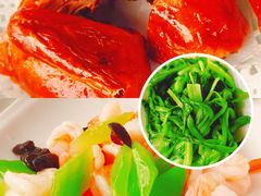 -云中小雅