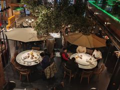 -三强鸽子(中原路店)