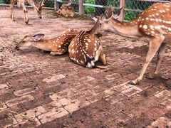 -静之湖湖畔餐厅