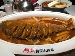 -阿五黄河大鲤鱼(英协路店)