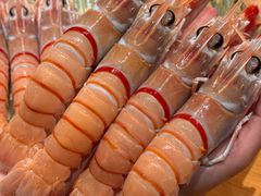 -鮨冠OMAKASE食べ放题(北京首店)