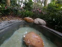 -青城道汤池