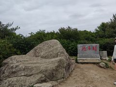-王顺山国家森林公园