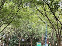 -滴水岩森林公园