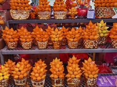 -越秀西湖花市(广州城市广场花卉店)
