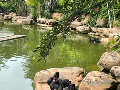 -南宁荔园维景国际酒店·荔园中餐厅