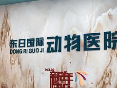 -东日国际动物医院·CT·心脏专科(桃源分院)