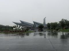 -盐城丹顶鹤湿地生态旅游区