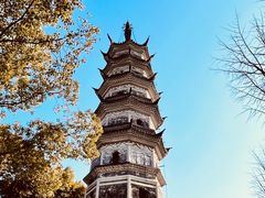 -苏州上方山国家森林公园