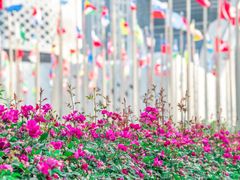 -南京国际青年文化中心