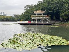 -荔枝公园(福田区)